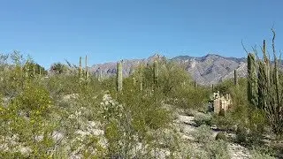 Tucson Foothills Custom Home Lot - 5320 N. Camino Escuela