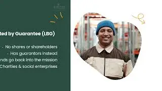 UK Company Types Explained: Ltd, LLP, PLC, Sole Trader & More | Complete Guide 2025 | MintFormations