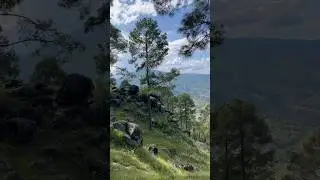 there is peace in the mountains⛰️&hearts;️😍#uttarakhand #peace #mountainview