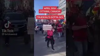 #trudeaumustgo