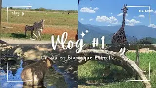 Vlog #1 - Un día en Bioparque Estrella