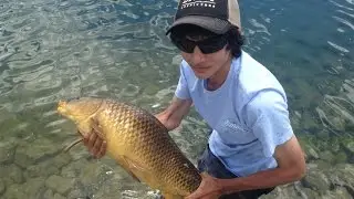 Toronto Carp Fishing Caught on the Fly Rod - Family Fishing Day - 2016