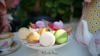 Gourmet picnic delights! 🍰