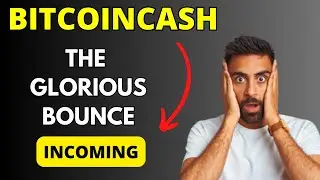 BITCOINCASH BCH News Today, Technical Analysis and Price Prediction 2023/2024