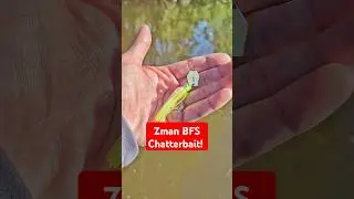 New Z-Man Fishing Products BFS Skirted Chatterbait Teaser #fishing