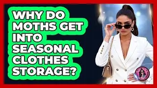 Why Do Moths Get Into Seasonal Clothes Storage? - Glam Girl's Closet
