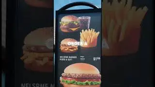 Turtle Tries to Order at McDonald s for 7 Minutes  1