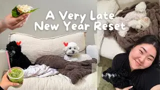 *Finally* Resetting My Life... Am I too late???
