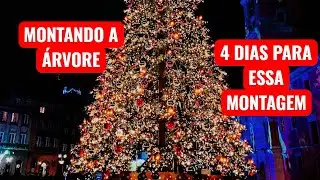 MONTANDO A ÁRVORE DE NATAL