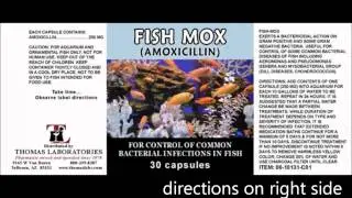 Fish Antibiotics in a Collapse by Dr Bones