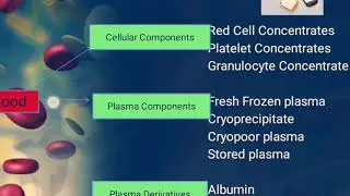 Blood components in urdu/Hindi.