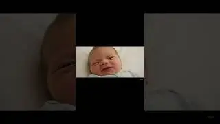 Newborn Baby Roasts Dad During Interview 😂👶🎤