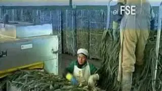 Fondos FEDER