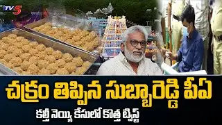 New Twist in Adulterated Ghee Case | YV Subba Reddy PA Chinnappanna Role Exposed | TV5 News