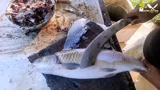 🔥Mirigal Carp🔥Fish Cutting Skills in Sri Lankan Fish Market