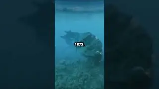 Mysterious Shipwrecks