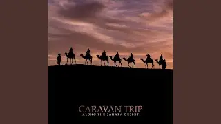 Egyptian Night