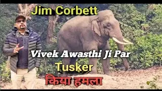 Jungle Safari || Elephant Attack in Vivek Awasthi