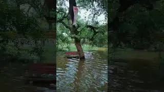 #rainflood #ytshorts