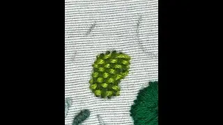 VIDEO NO  47