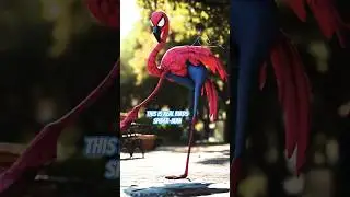 This is Real Birds Spider-Man 🥳🥳🥳 #birds #spiderman #birdsspiderman #viralvideo # #shortvideo #short