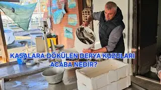 KOVALARDAN D&Ouml;K&Uuml;LEN DERYA KUZULARINI G&Ouml;R&Uuml;N DERİM!