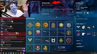 HOW TO SPOT A SCAMMER ON STEAM!