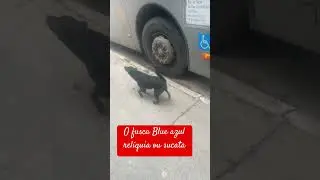 O mec&acirc;nico motor roncado os parafuso do c&acirc;mbio entortou martelo chave 🔑 pix cr&eacute;dito ou d&eacute;bito auto