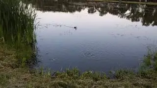 20160729 194749