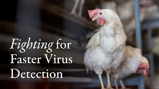 Fighting for Faster Virus Detection