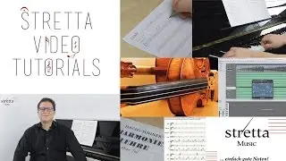 Tutorials zu musikalischen Themen von Stretta-Music