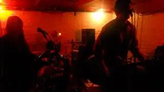 The Great Cynics Live