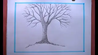 Can You Draw A Tree Without Leaves Like A Pro