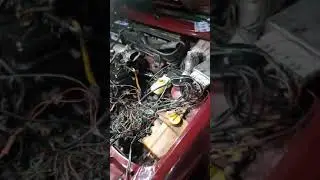 Escort ap com inje&ccedil;&atilde;o efi ,rsrsrs gambiarra de pobre