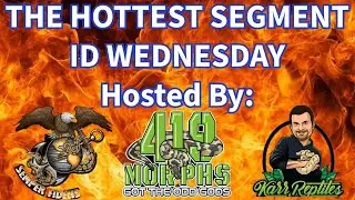 MORPH ID WEDNESDAY