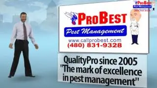 Dr Bug 3d Ad WM