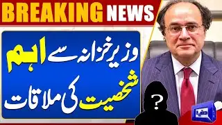 Finance Minister Muhammad Aurangzeb Meet American Ambassador | Dunya News