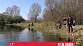 Delta din Dolj