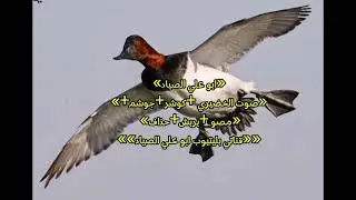 #صوت الخضيري +كوشر +جوشم +مصو +بربش+حذاف #اكسبلور #لاتنسوا_الاشتراك_في_القناة_وتفعيل_الجرس