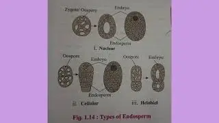 12th Biology Important Diagrams Lesson no-1 Reproduction in Lower and Higher Plants 