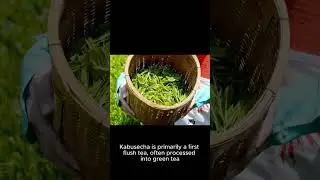 Kabusecha: Unveiling the Secrets of Shade-Grown Japanese Tea #KabusechaCulture