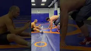 Как спортсмены тренируют реакцию #mma #judolife #спорт #вольнаяборьба #sports #бокс #мма #ufc #bjj