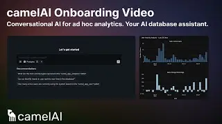 AI Database Assistant. Conversational AI for ad hoc analytics.