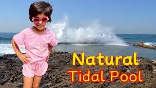 Sasha 1st Time Access To Natural Tidal Pool||Kids Funny Story