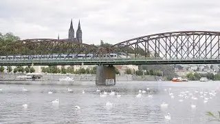 Rekonstrukce železničních mostů pod Vyšehradem