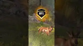 ###hunting