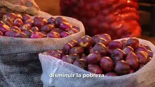 Las APPA protegen los mejores suelos para producir alimentos-Juan Pablo Sandoval director de la UPRA