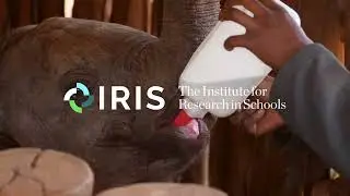Elephants on the Move - IRIS student research project