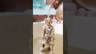 maiya ne subha subha snan kara diya💧💧