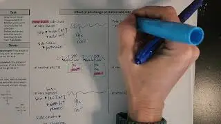 Аминокислоты &ndash; изменения боковой цепи при различных значениях pH